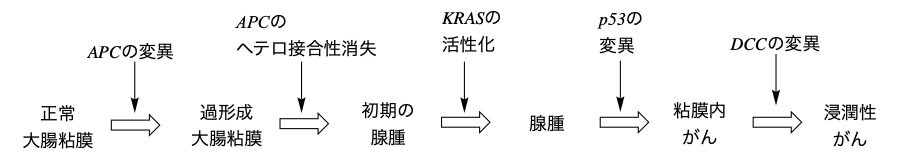 解説画像